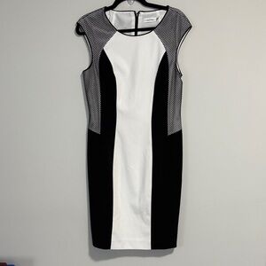 Calvin Klein Colorblock Mesh Sleeveless Dress Size 10 White/Black NWT